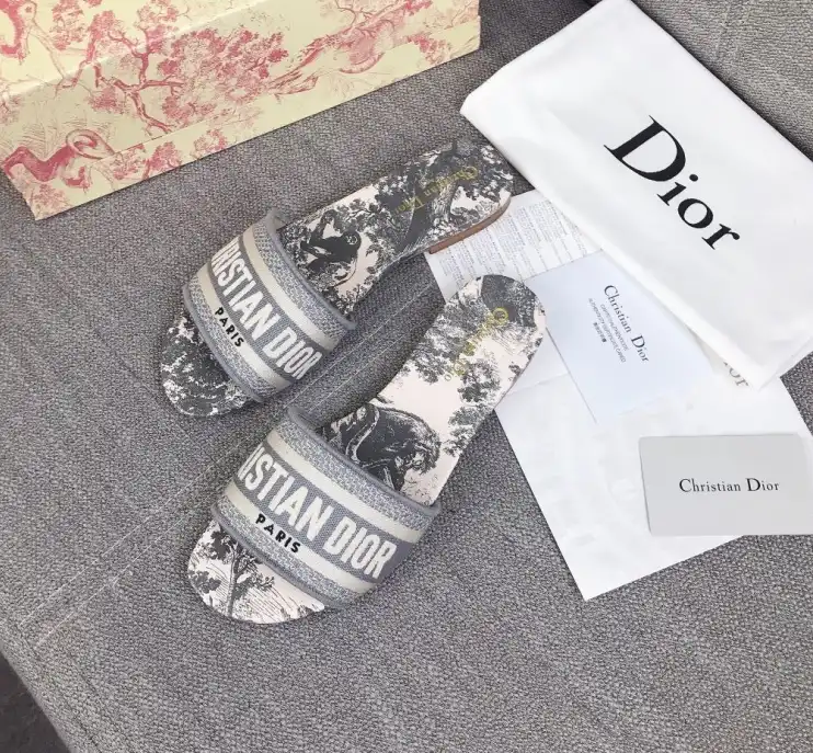 hype Christian Dior Slippers