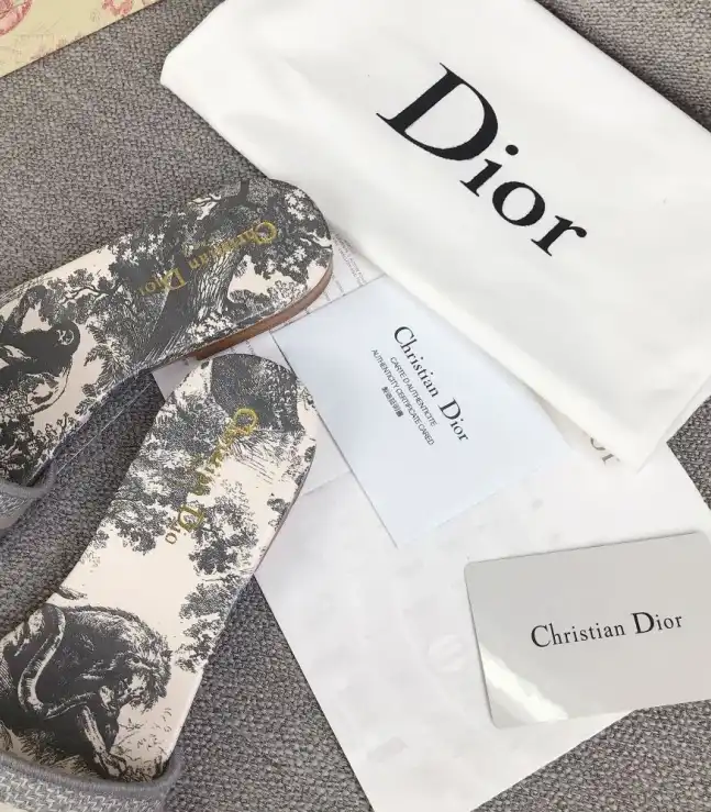 hype Christian Dior Slippers