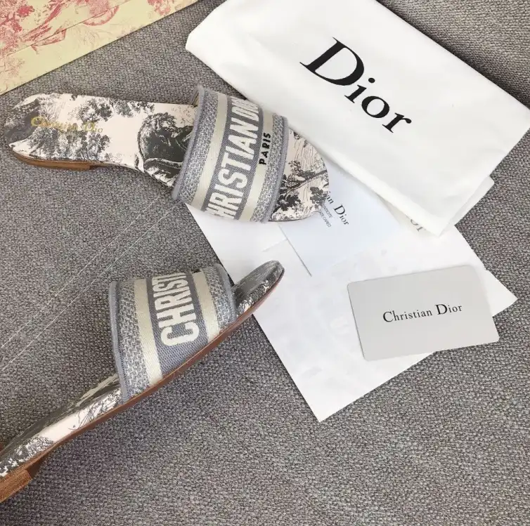 hype Christian Dior Slippers