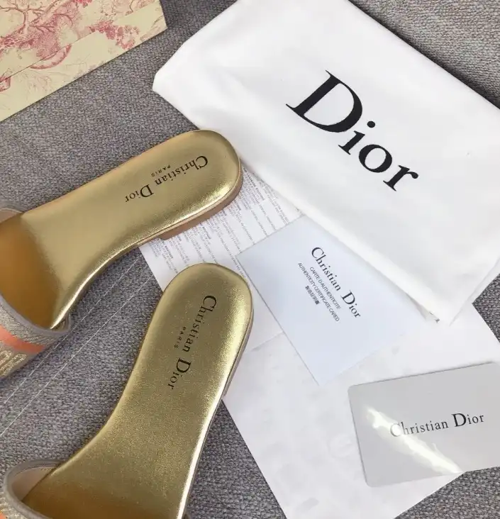 hype Christian Dior Slippers