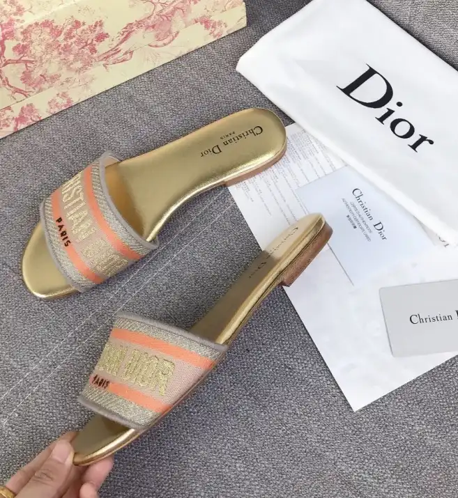 hype Christian Dior Slippers