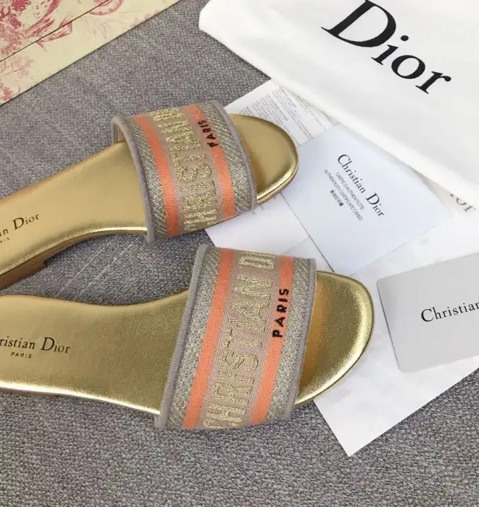 hype Christian Dior Slippers