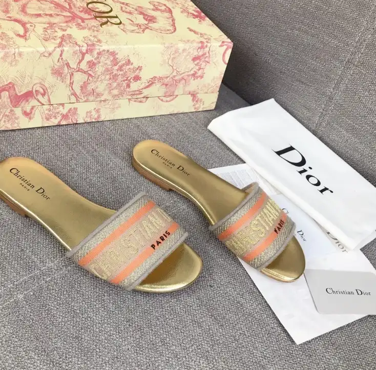 hype Christian Dior Slippers