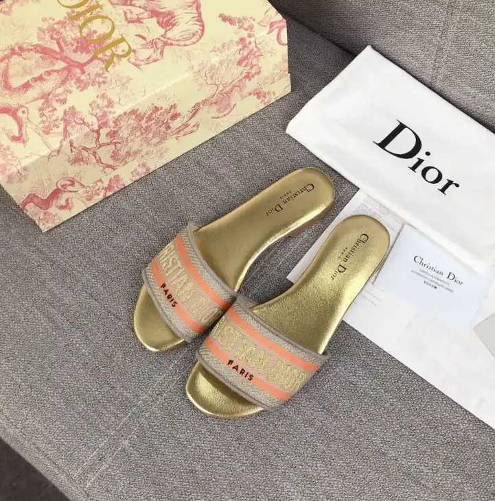 hype Christian Dior Slippers