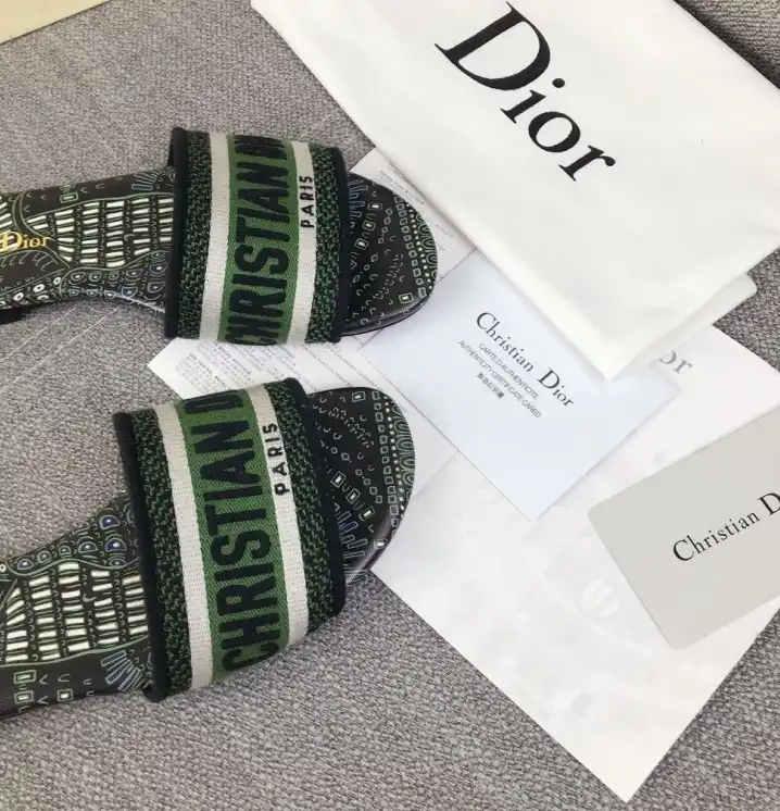 hype Christian Dior Slippers