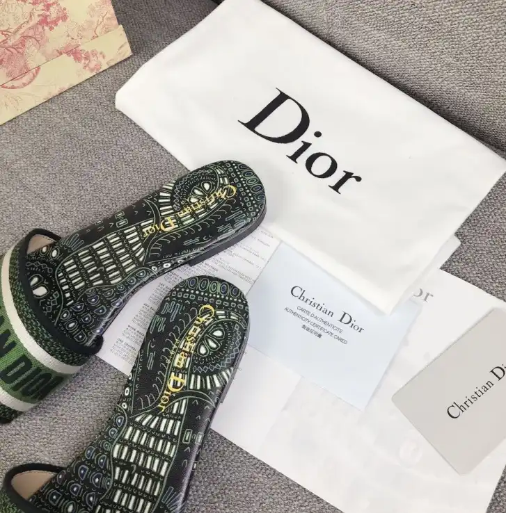 hype Christian Dior Slippers