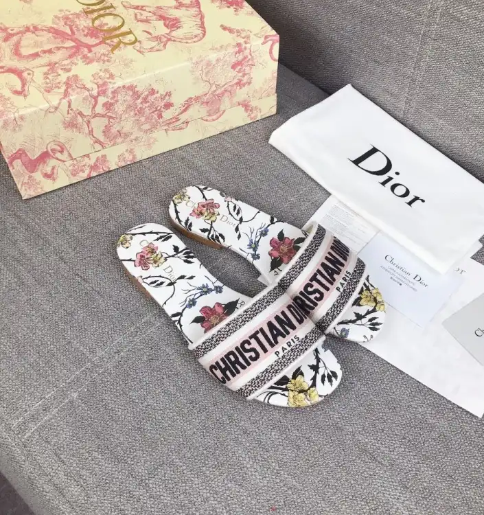 hype Christian Dior Slippers