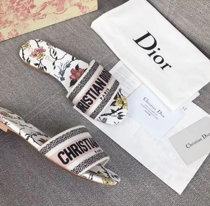 hype Christian Dior Slippers