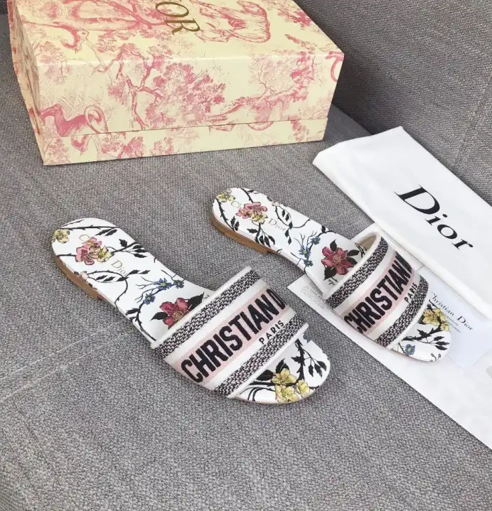 hype Christian Dior Slippers