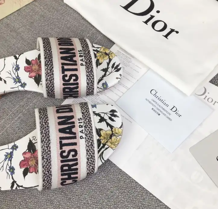 hype Christian Dior Slippers