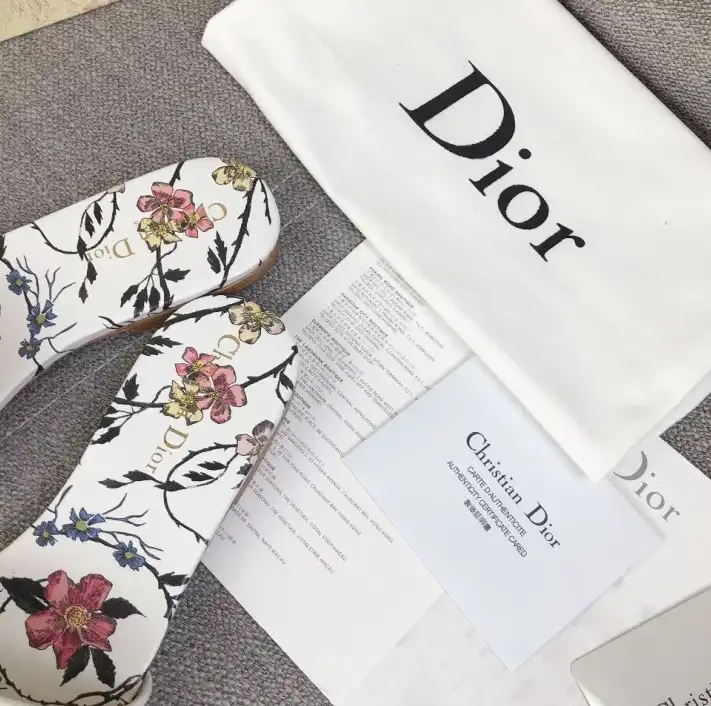 hype Christian Dior Slippers