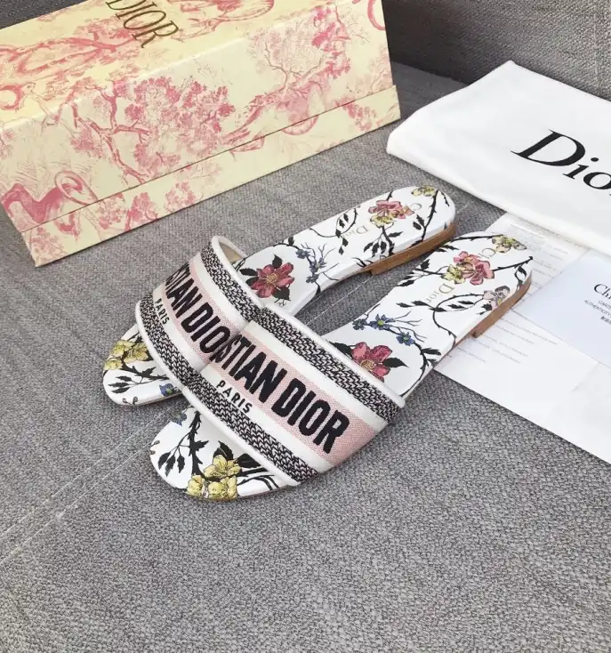 hype Christian Dior Slippers