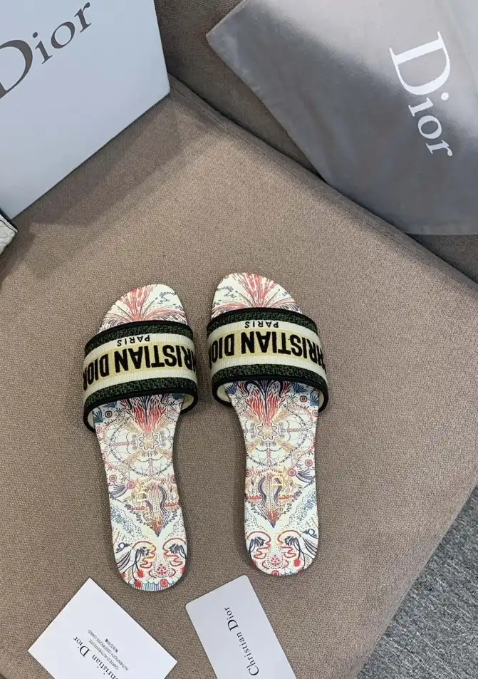 hype Christian Dior Slippers