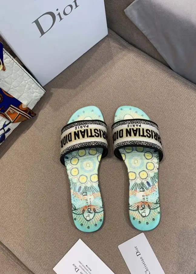 hype Christian Dior Slippers