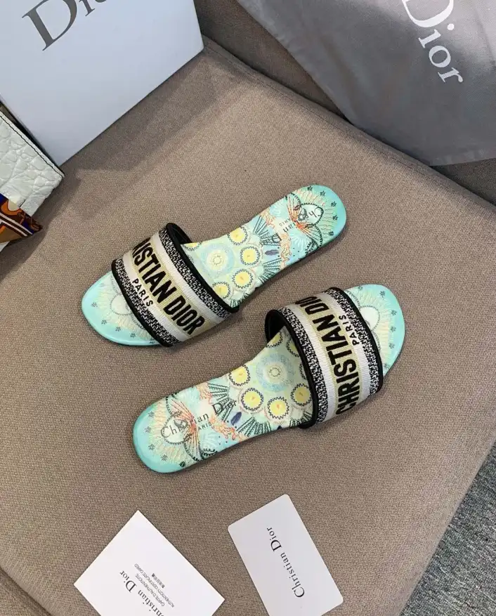 hype Christian Dior Slippers