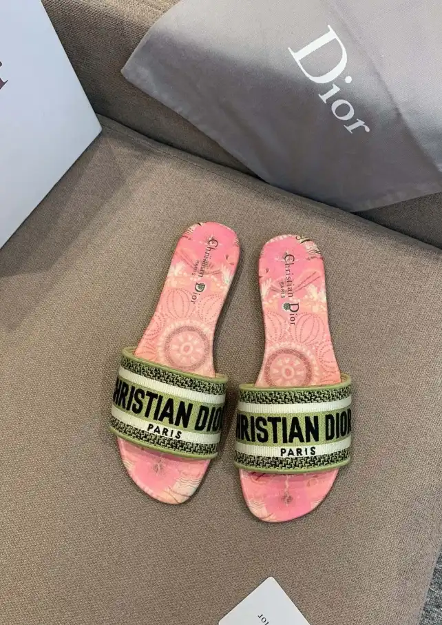 hype Christian Dior Slippers