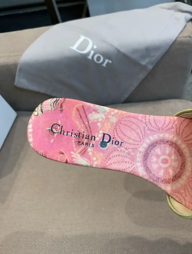 hype Christian Dior Slippers