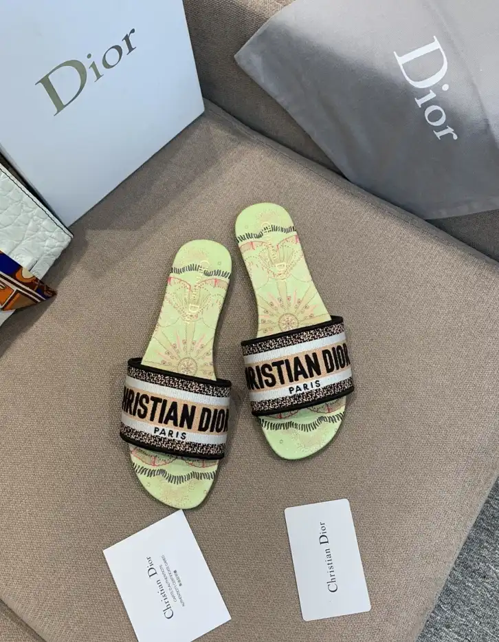 hype Christian Dior Slippers