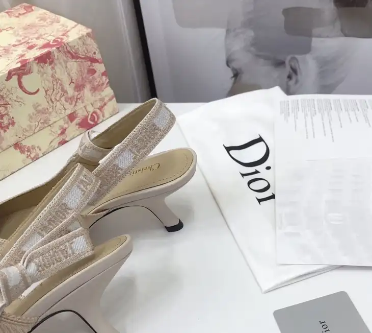 hype Christian Dior High Heels