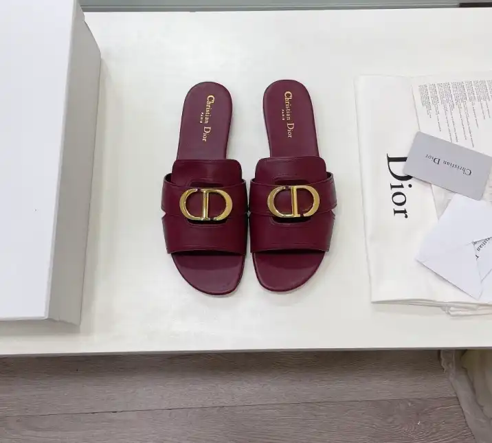 hype Christian Dior Slippers