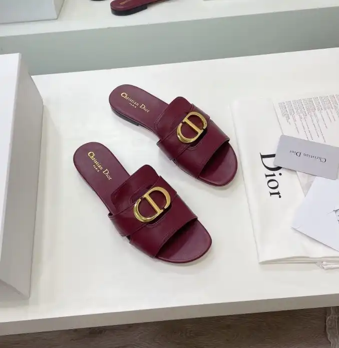 hype Christian Dior Slippers