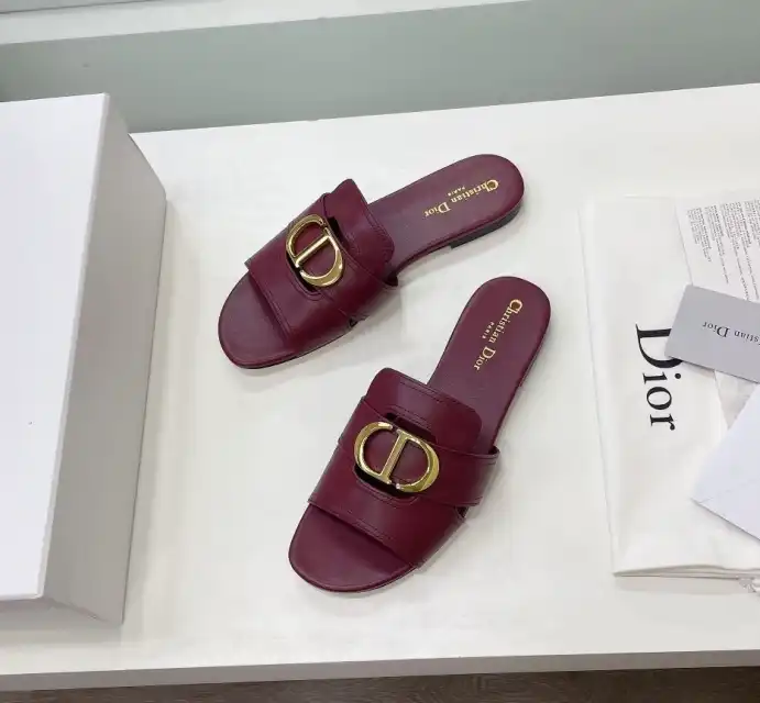 hype Christian Dior Slippers