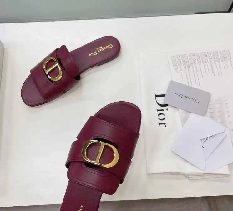 hype Christian Dior Slippers