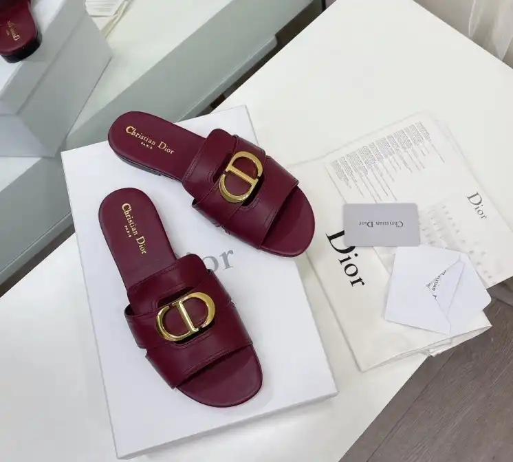 hype Christian Dior Slippers