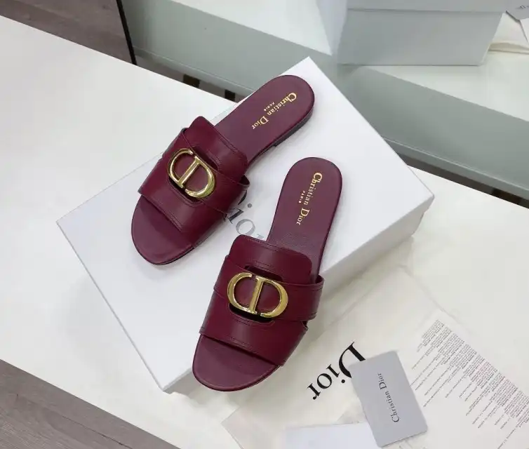 hype Christian Dior Slippers