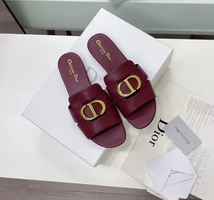 hype Christian Dior Slippers