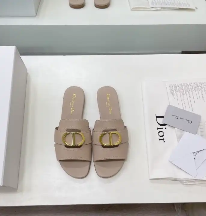 hype Christian Dior Slippers