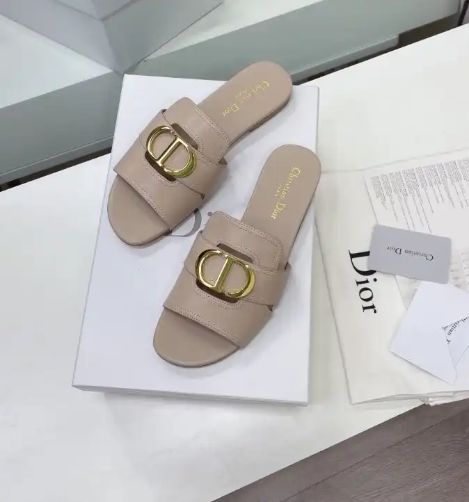 hype Christian Dior Slippers