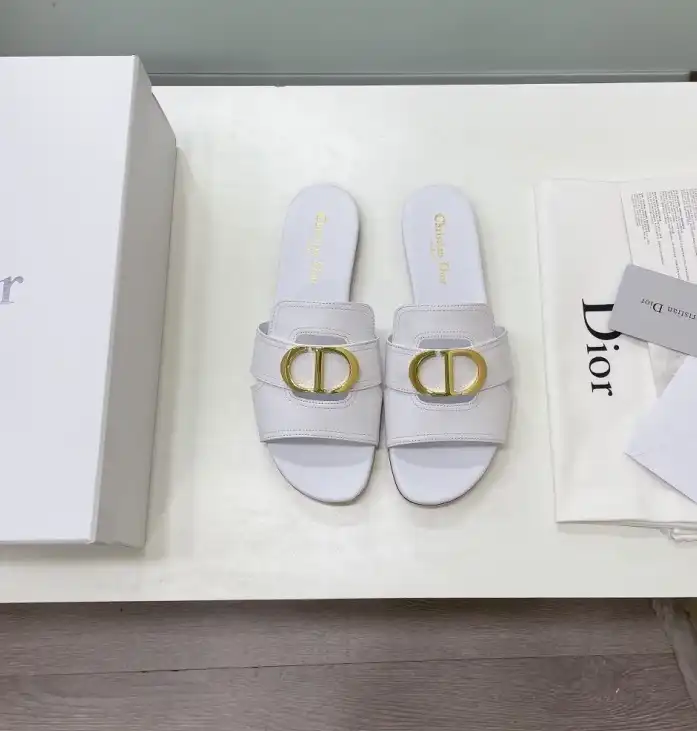 hype Christian Dior Slippers