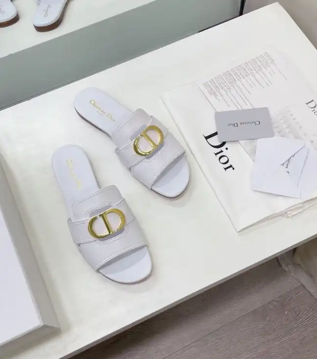 hype Christian Dior Slippers