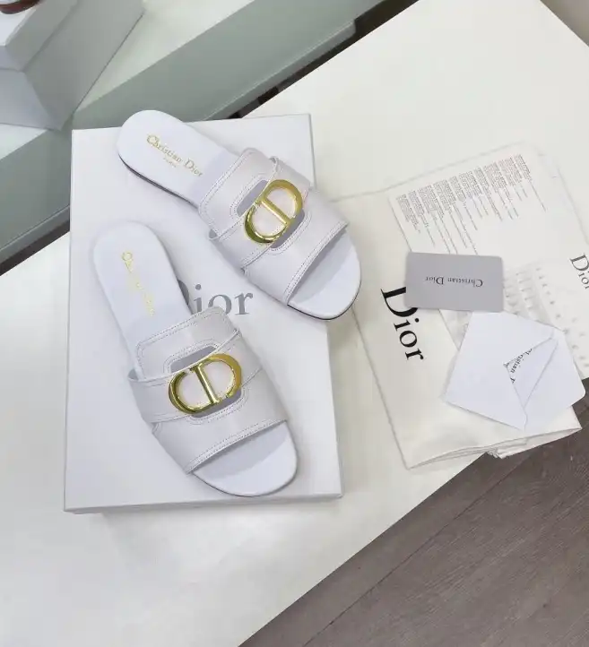 hype Christian Dior Slippers