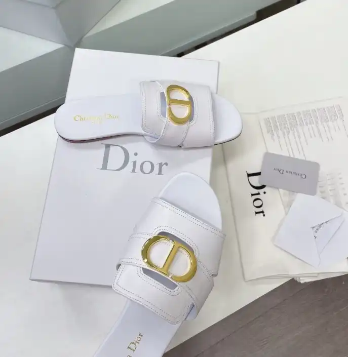 hype Christian Dior Slippers