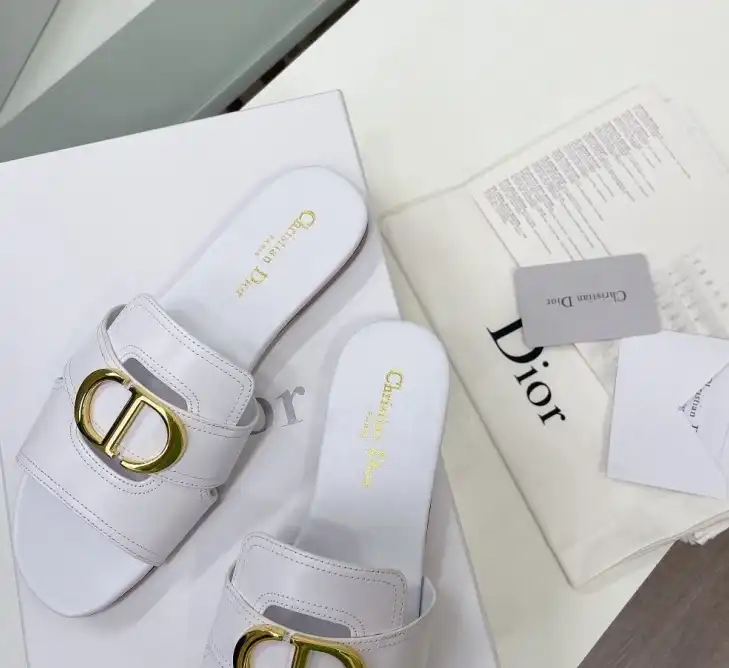 hype Christian Dior Slippers