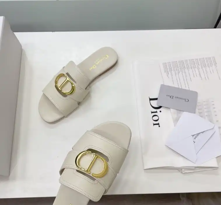 hype Christian Dior Slippers