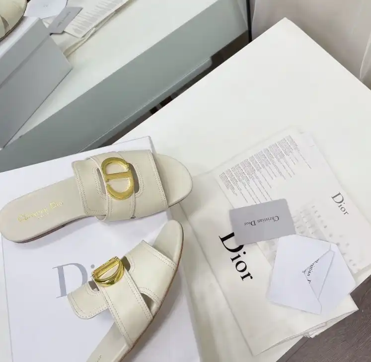 hype Christian Dior Slippers