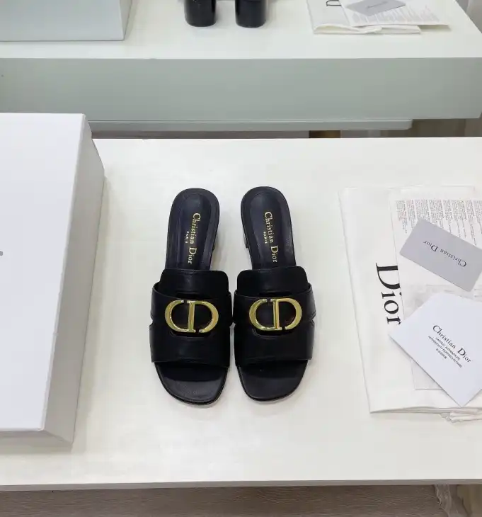 hype Christian Dior Slippers