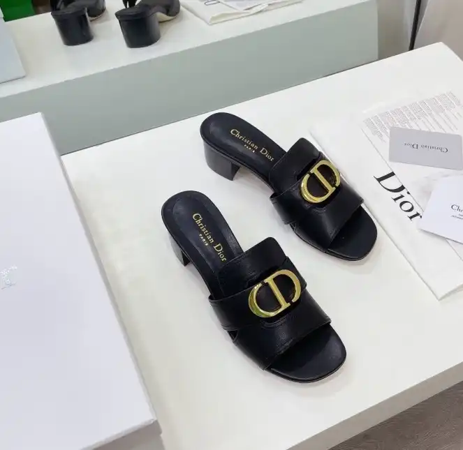 hype Christian Dior Slippers