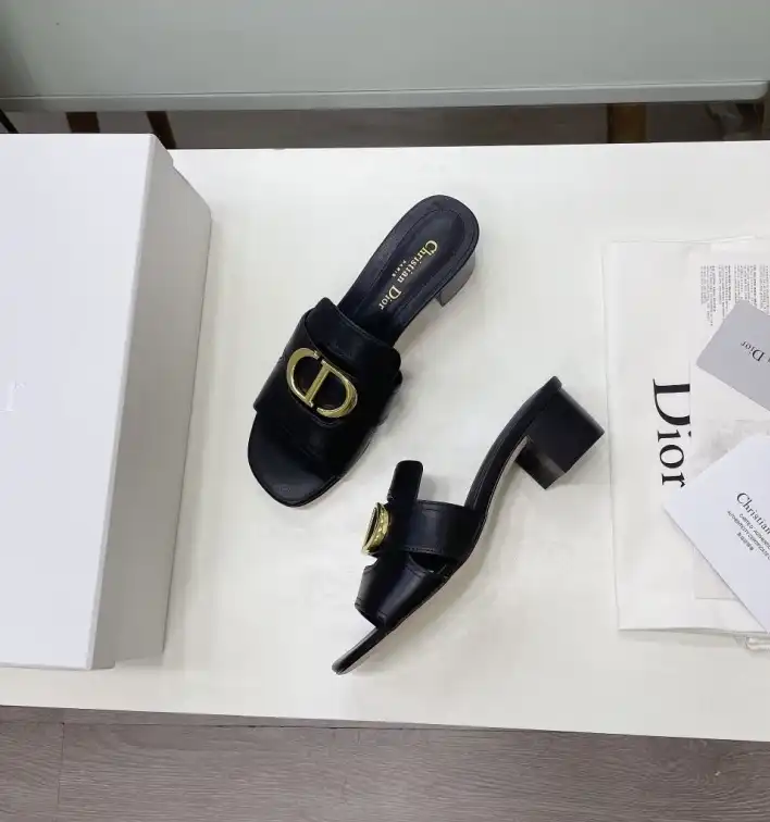 hype Christian Dior Slippers