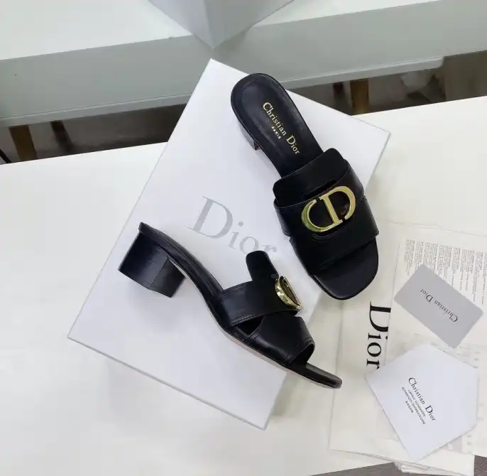 hype Christian Dior Slippers