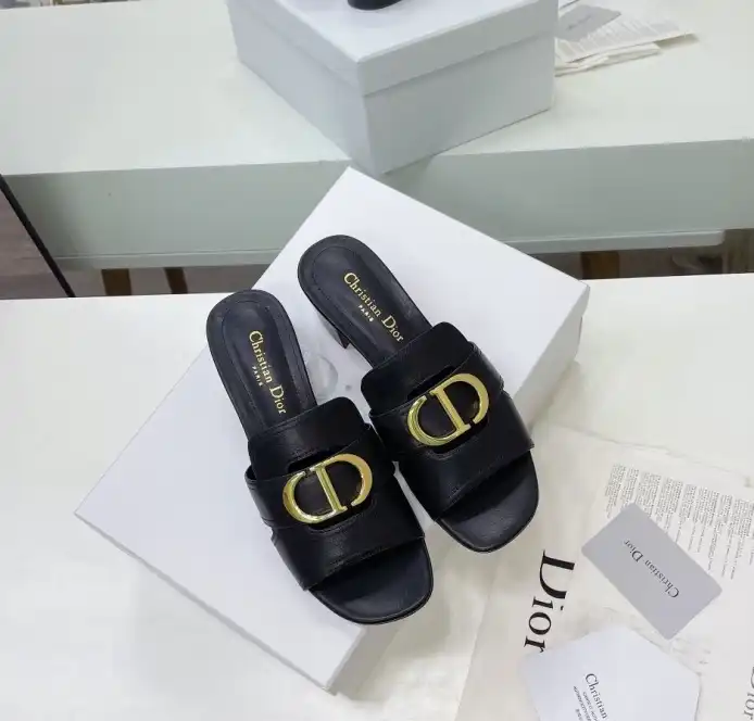 hype Christian Dior Slippers