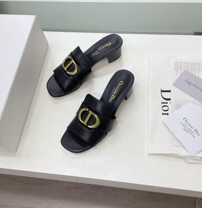 hype Christian Dior Slippers