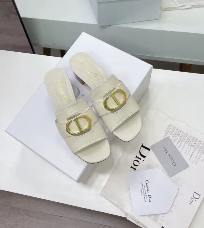 hype Christian Dior Slippers