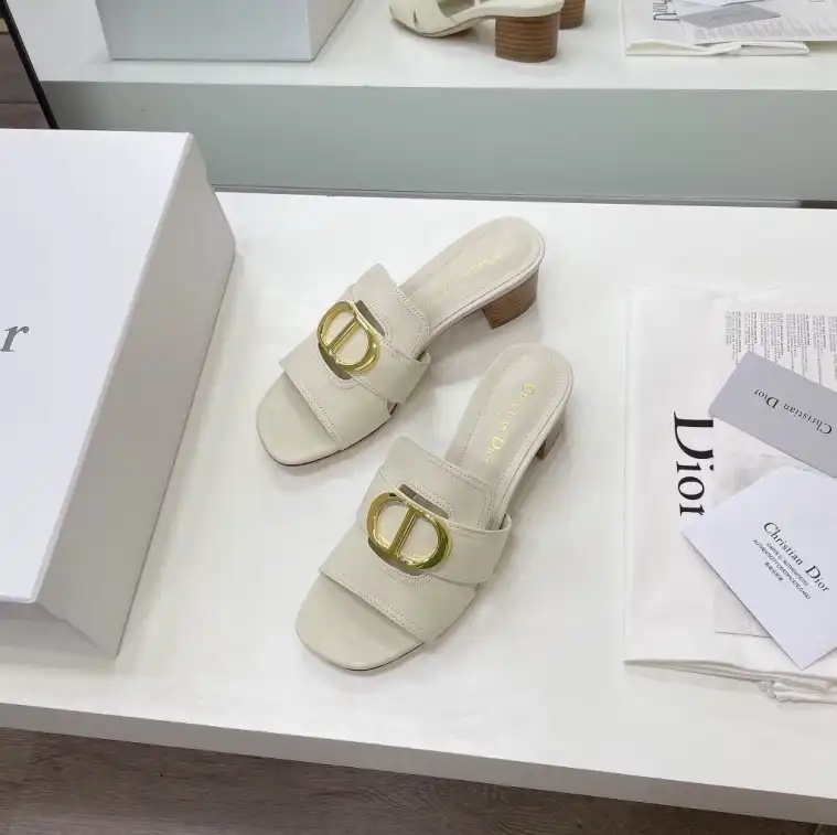 hype Christian Dior Slippers