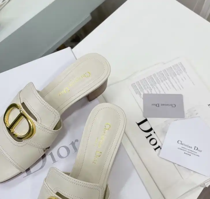 hype Christian Dior Slippers