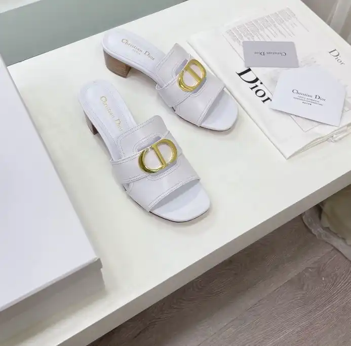 hype Christian Dior Slippers