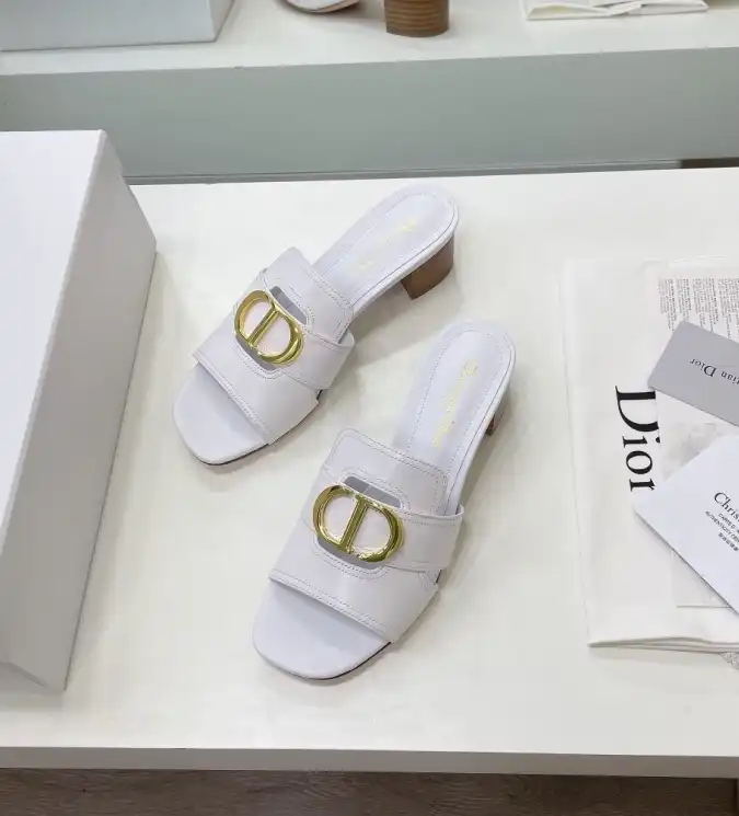 hype Christian Dior Slippers